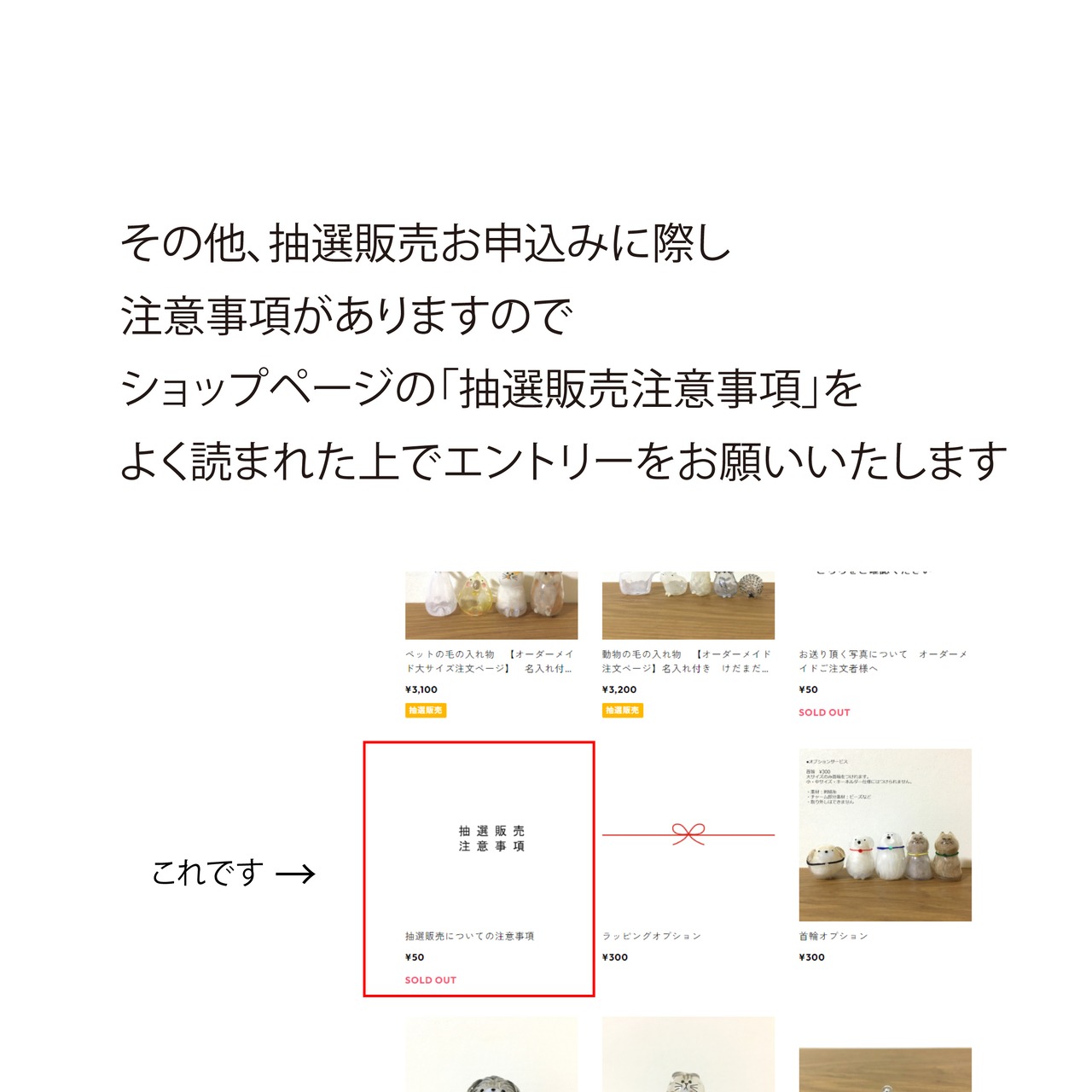 オーダーメイド（うちの子仕様）抽選販売概要について | うちの子のけ  
