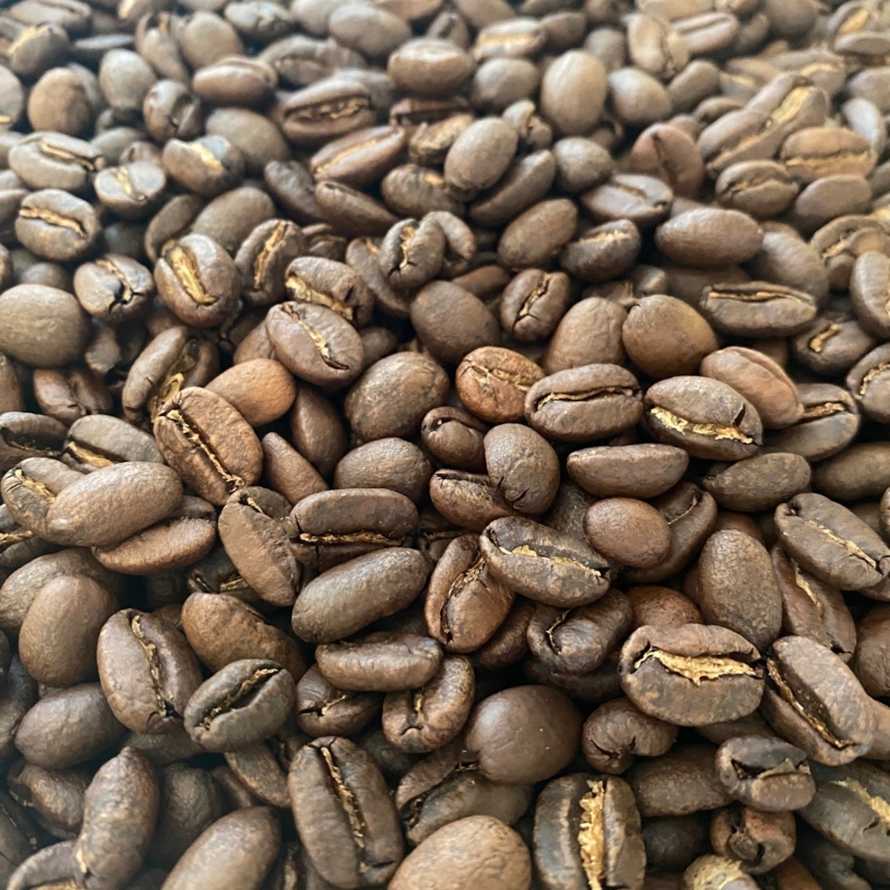 Mango Takokak|マンゴータコカ