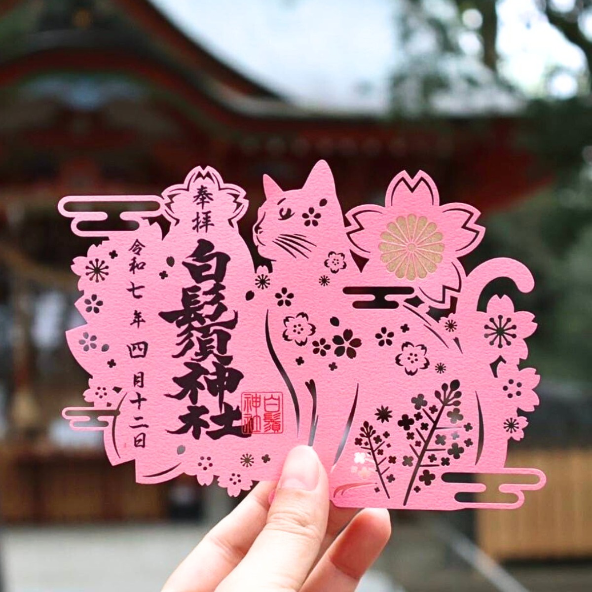 7099141c065252276a6d5b8a6f459a