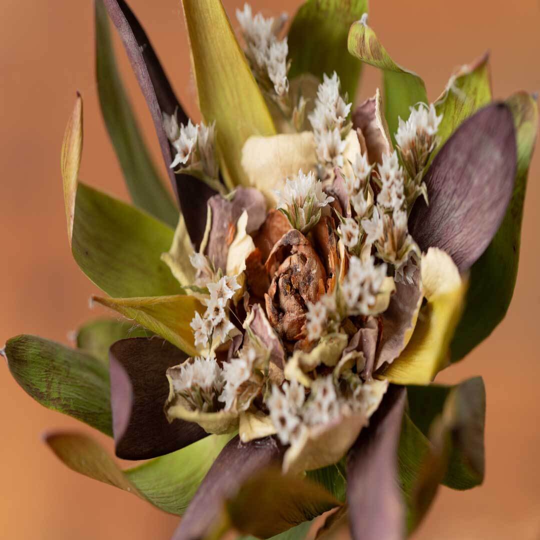 ナチュラル系】いちりんフレグランス | ハグレ ONLINE STORE