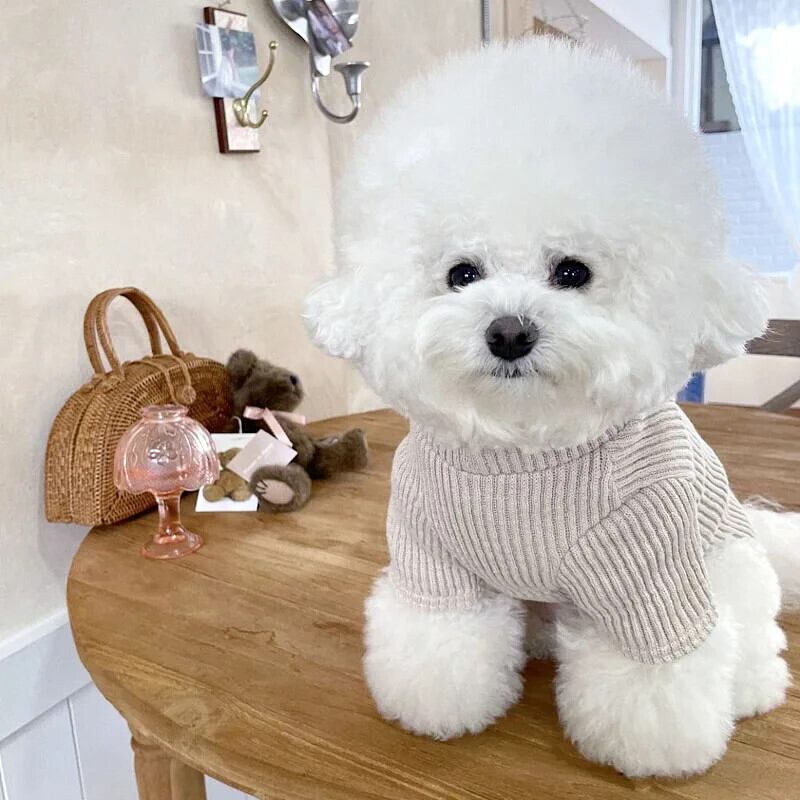 ペット春秋漫画プルオーバー小型犬かわいい猫ソフトニット ペット春秋漫画プルオーバー小型犬かわいい猫ソフトニット