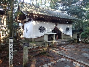 クマラレイキ2017