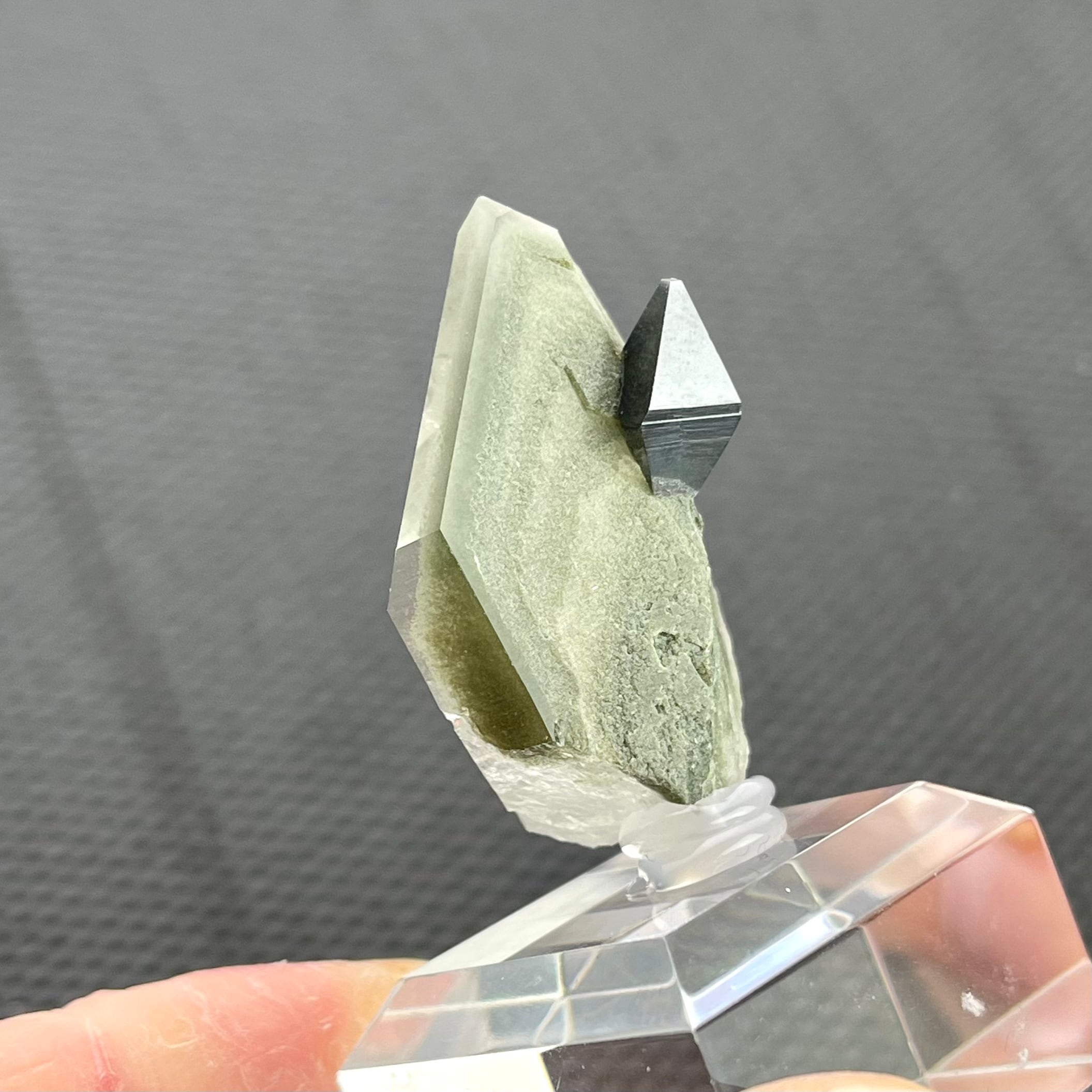 アナテース クローライト / クォーツ【Anatase with Chlorite in