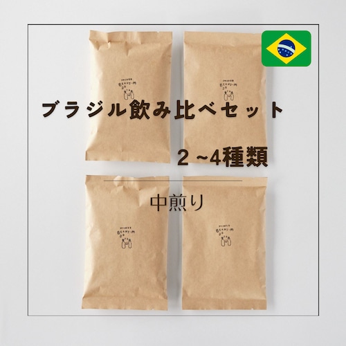 ◎送料込◎ブラジル飲み比べセット(ブラジルの豆100g×2～4種)