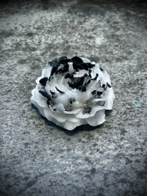 CANDLE FLOREALE