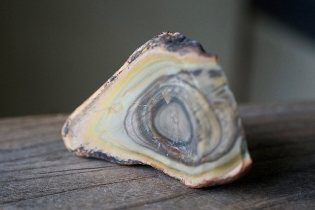 ロイヤルインペリアルジャスパー　Royal Imperial Jasper 13