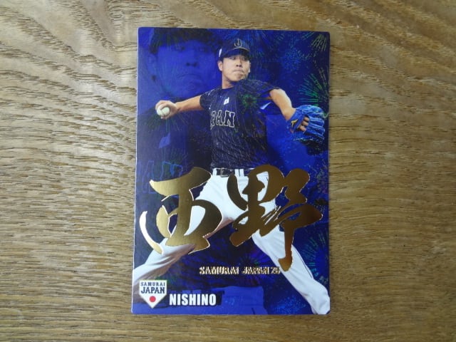 ドッグタウン　ドレッセン　サイズS ヘインズタグ ドッグタウン ドレッセン サイズS ヘインズタグ DOGTOWN 全2色 ドッグ