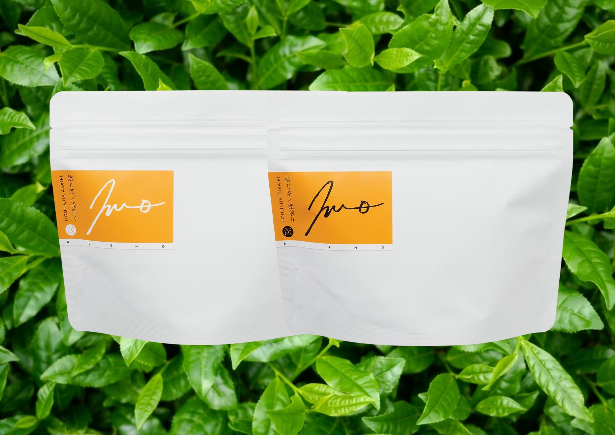 haru様▼専用オーダーページ はるとなり 焙じ茶 浅煎り / 深煎り テースティングセット | 知覧茶