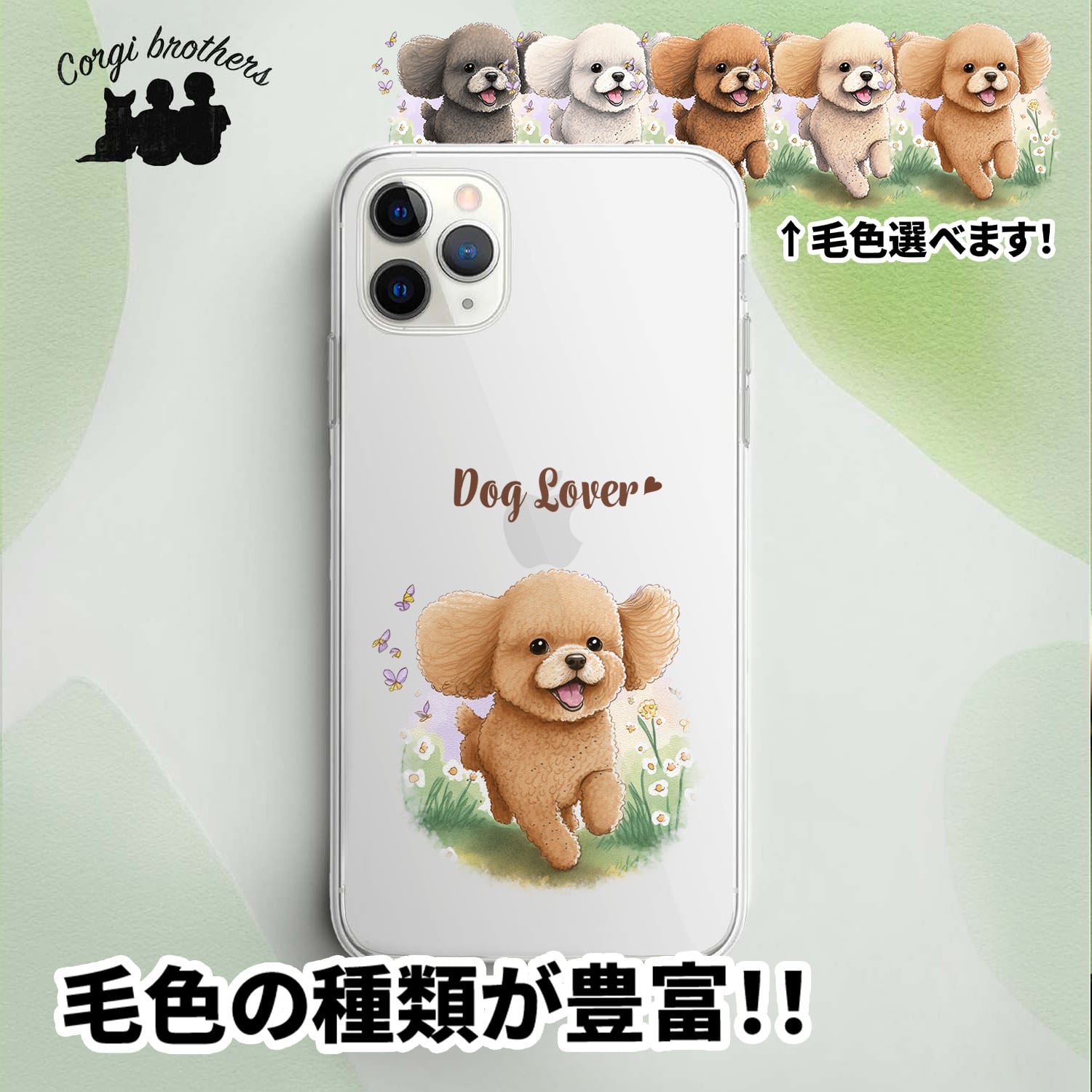トイプードル | Corgibrothers