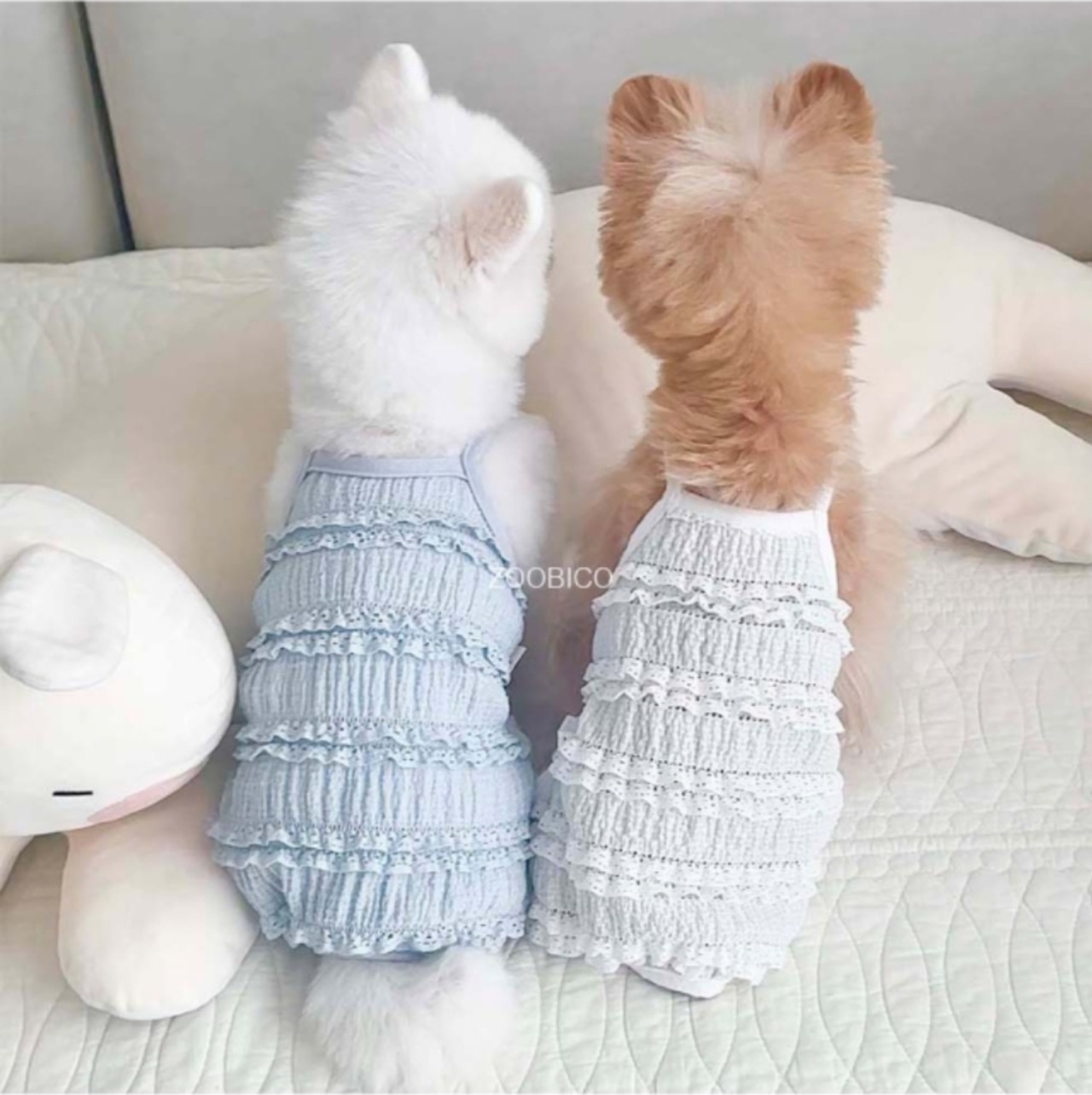 予約  【pecoramou select】  Wedding allinone（Blue）