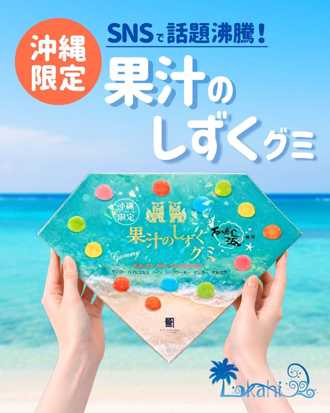 SNSで話題！ 沖縄限定 果汁のしずくグミ 1箱 【6種類13個入