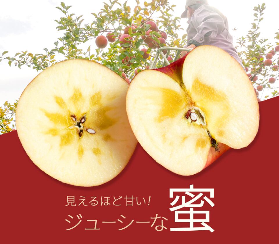 【贈答用】りんご サンふじ 3kg