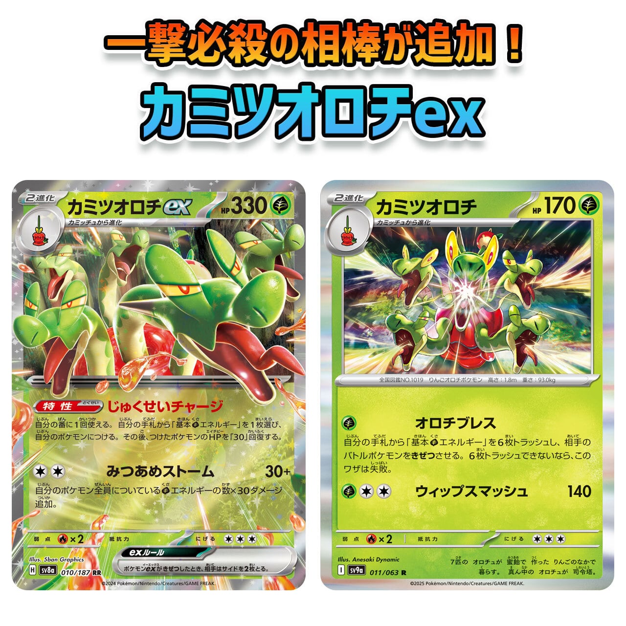 特価 リーリエの全力 U SM11b 049/049 | ポケモンカード専門店 特価 リーリエの全力 U SM11b 049/049 | ポケモンカード専門店