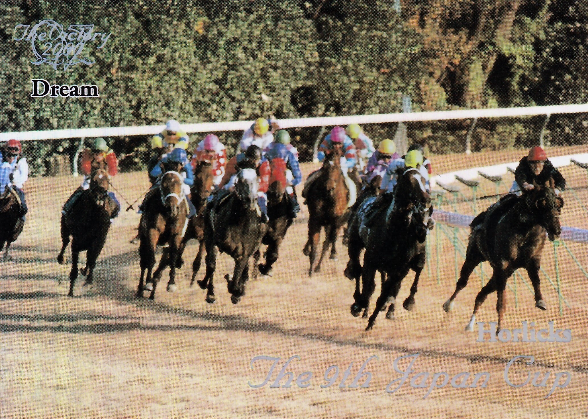 第9回ジャパンカップ：ホーリックス(Dream)「The Victory 2000」R-24
