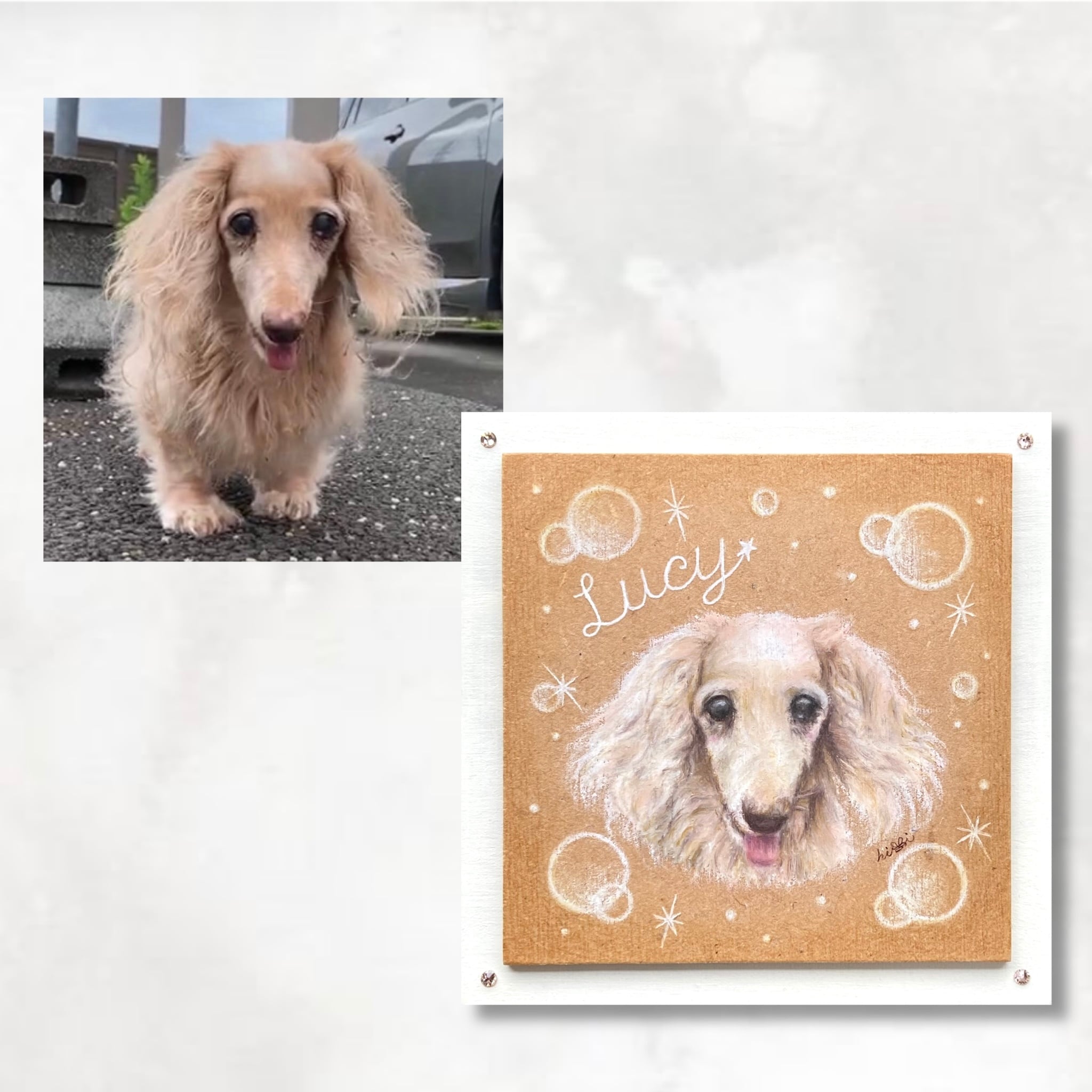 お求めやすく価格改定 ペット似顔絵リアルアートオーダー 犬用品 Cft Hammamet Com