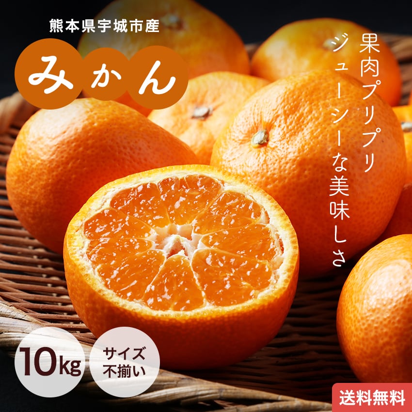 熊本県宇城市産 みかん 10kg サイズ不揃い