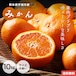 熊本県宇城市産 みかん 10kg サイズ不揃い 送料無料