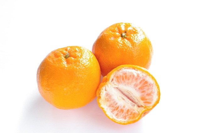 ぽんかん　５㎏　家庭用　【７０４】