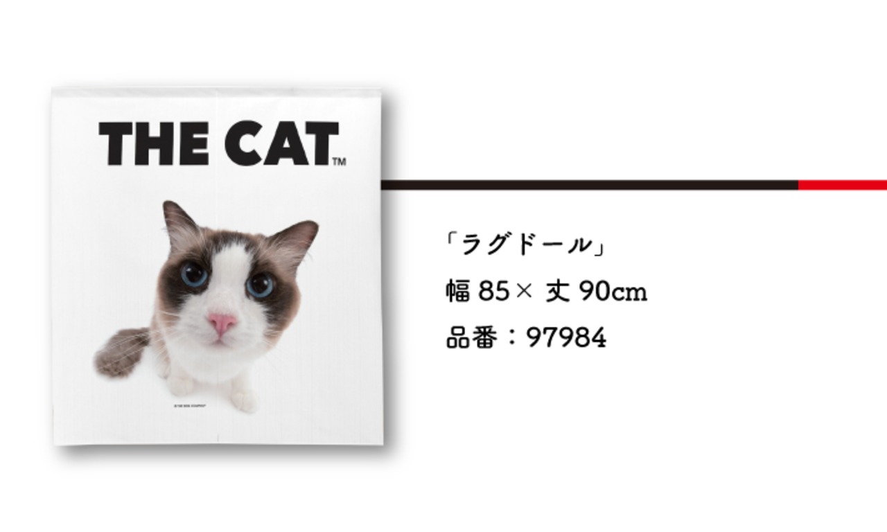 【受注生産】のれんTHE CAT ラグドール 幅85ｘ丈90cm 97984