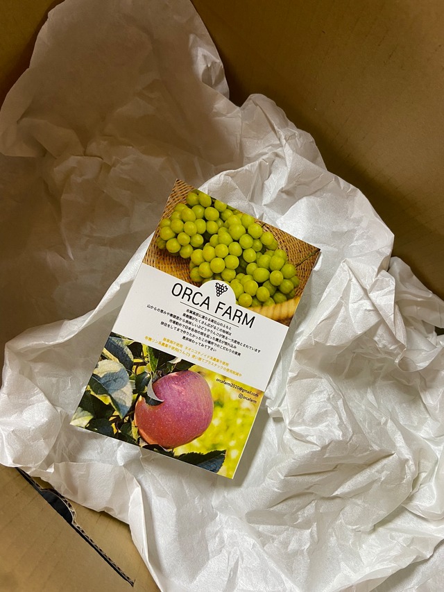 シャインマスカット ３～４房（２．０ｋｇ以上）