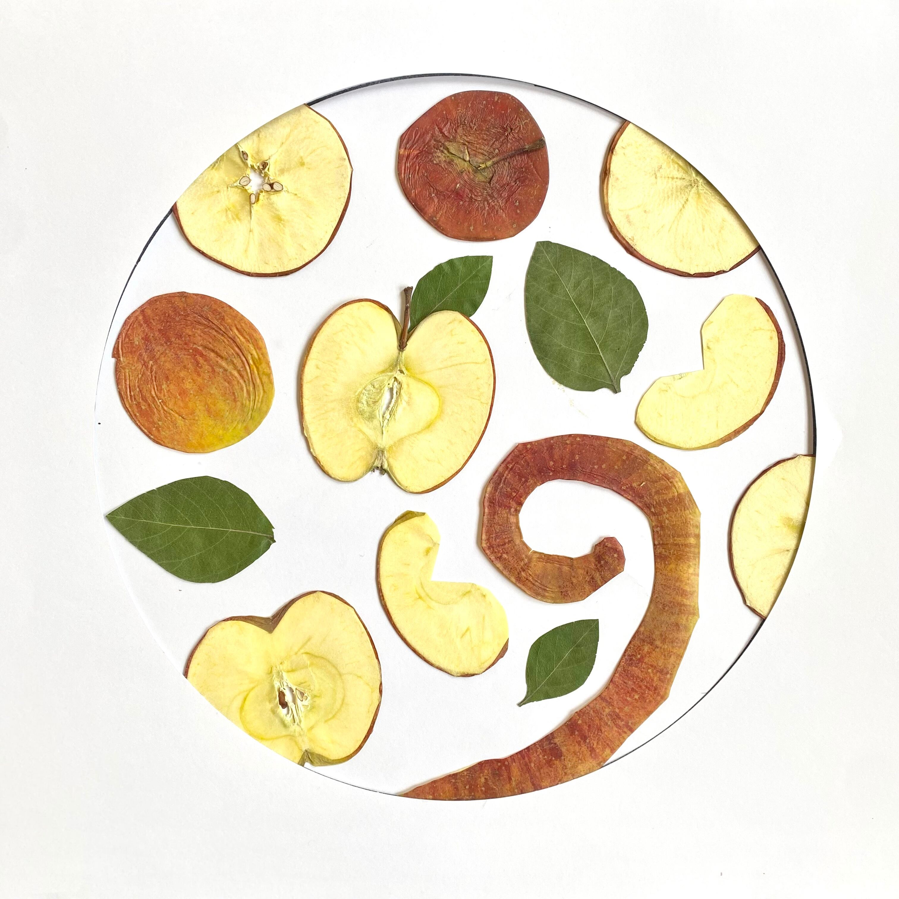 専用ページ 左之助様 | astin muhler | 押し花・押しフルーツの
