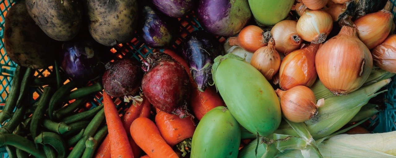 たんとスープ 旬の野菜をたっぷり食べるスープセット(味噌)・画像5