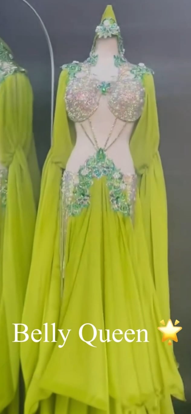 オーダーメイド ベリーダンス衣装 LY6347 | Belly Queen