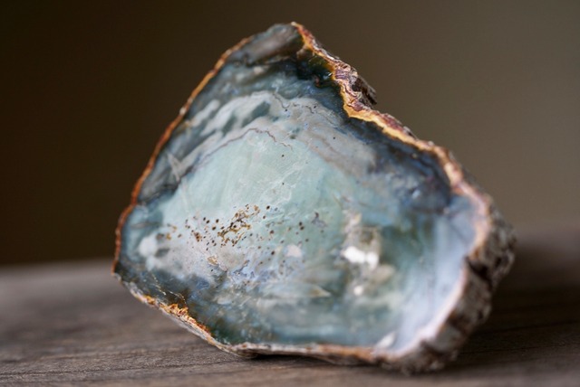 珪化木 Araucarioxylon A