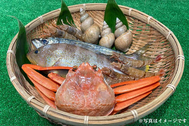 【下処理済みコース】鳥取県より日本海の新鮮なお魚を定期便でお届け【送料込※北海道沖縄を除く】