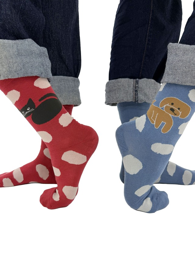 【JIN KITAMURA】北村人 SOCKS DOT POODLE ソックス ドット プードル