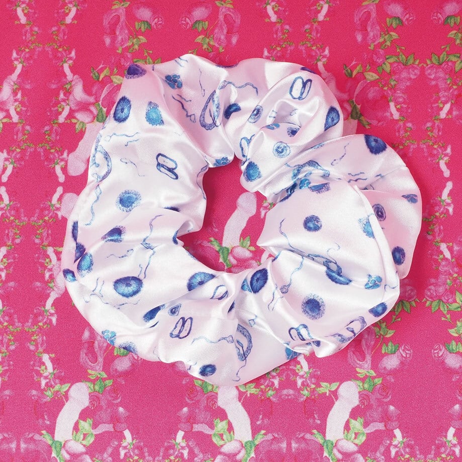 カルピスシュシュ