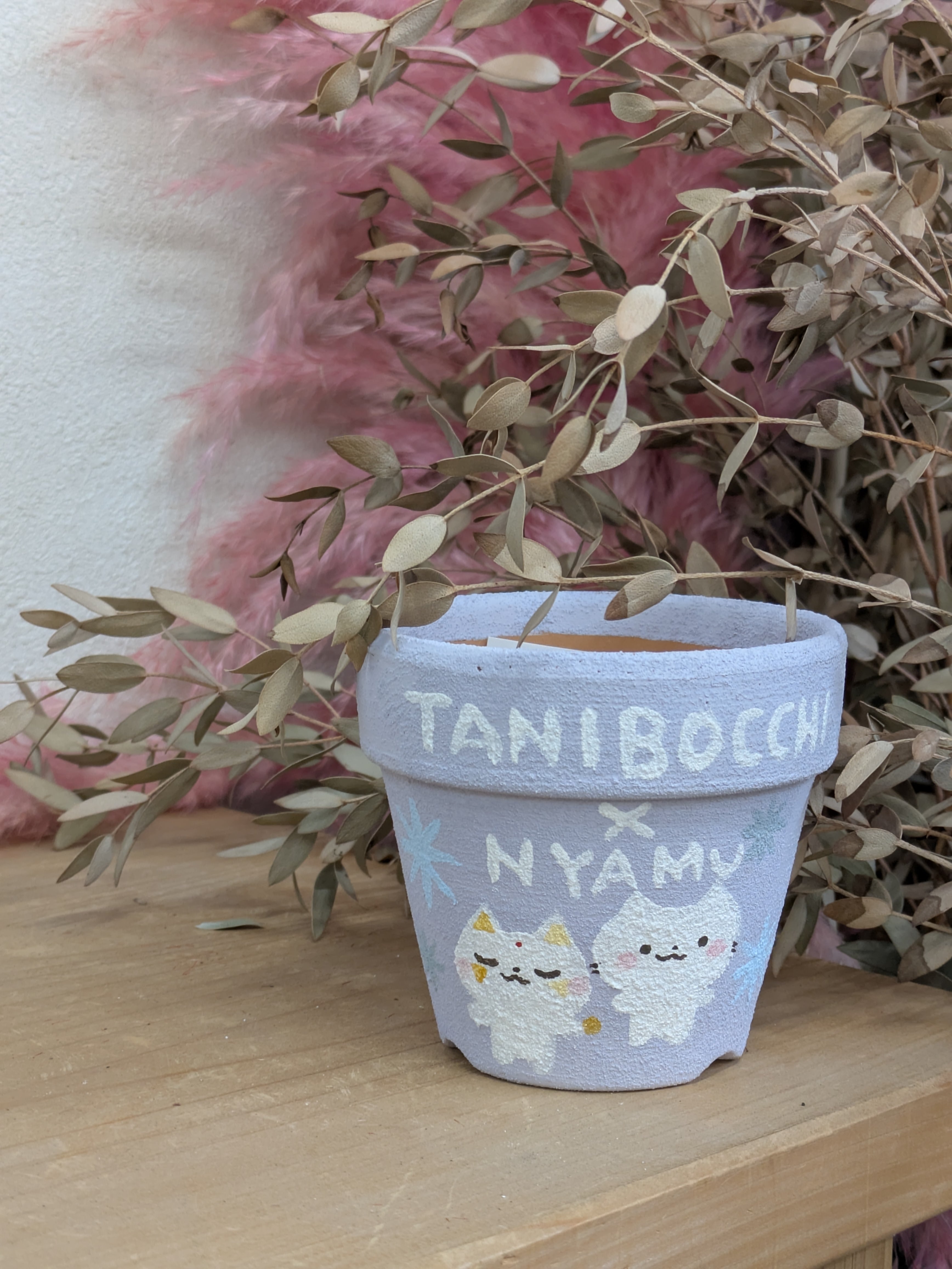 tanibocchiさんコラボセット リメイク鉢 3号鉢 | 成瀬多肉