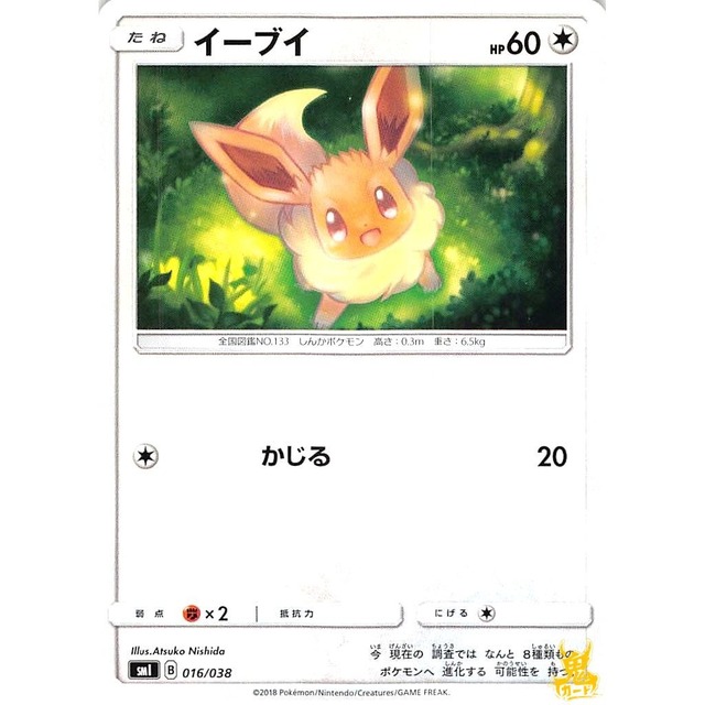 イーブイ sml 016/038 かじる ノーマルタイプ 状態：A ポケカ