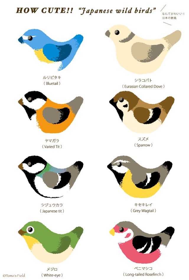ポストカード 日本の野鳥イラスト 山野の小鳥 3枚セット なごみの小鳥