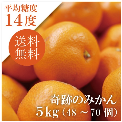 2026奇跡の糖度！有田みかん 【5kg】《送料無料》