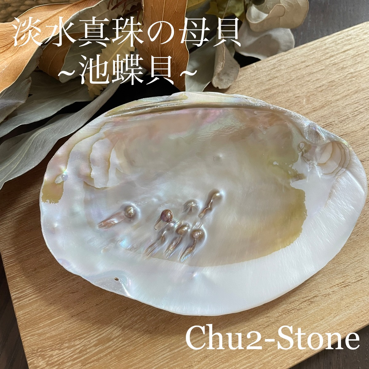 70c6f045710cb01dbc92ccfba4dd23 