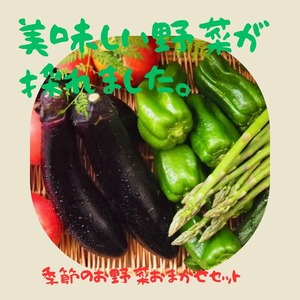 お任せ野菜セット