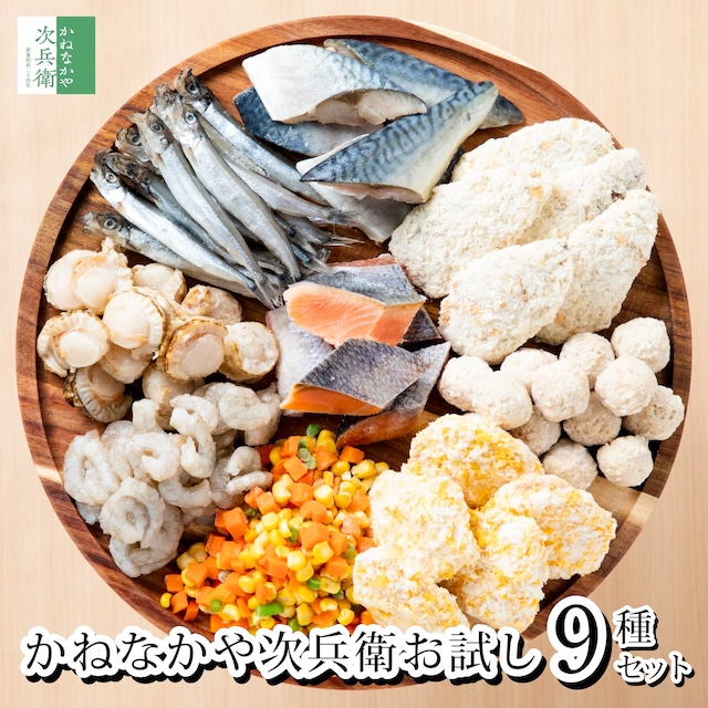 かねなかやのお試し9種セット 海鮮 揚げ物 魚 切り身 骨取り 色々な商品を少しずつお試しできるセットがほしい！お客様の声を商品化 専用レシピ付で調理も簡単 1商品につき2-3人分 小分け セットでお届け【C配送：冷凍】