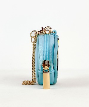 F248220_The Powerpuff Girls×Flapperダイカットミニポーチ