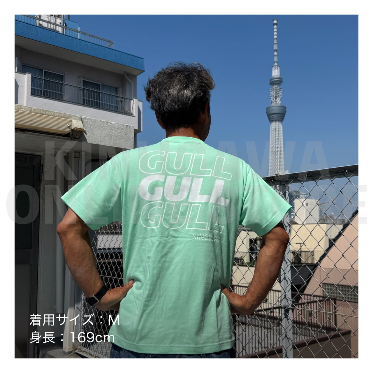 【OnlineStore限定】GULL デザインTシャツ(Tri-GULL)″ メロン ”