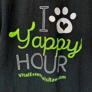 ギルダン　クルーネック　プリントTシャツ　ビッグプリント　企業ロゴ　半袖　S