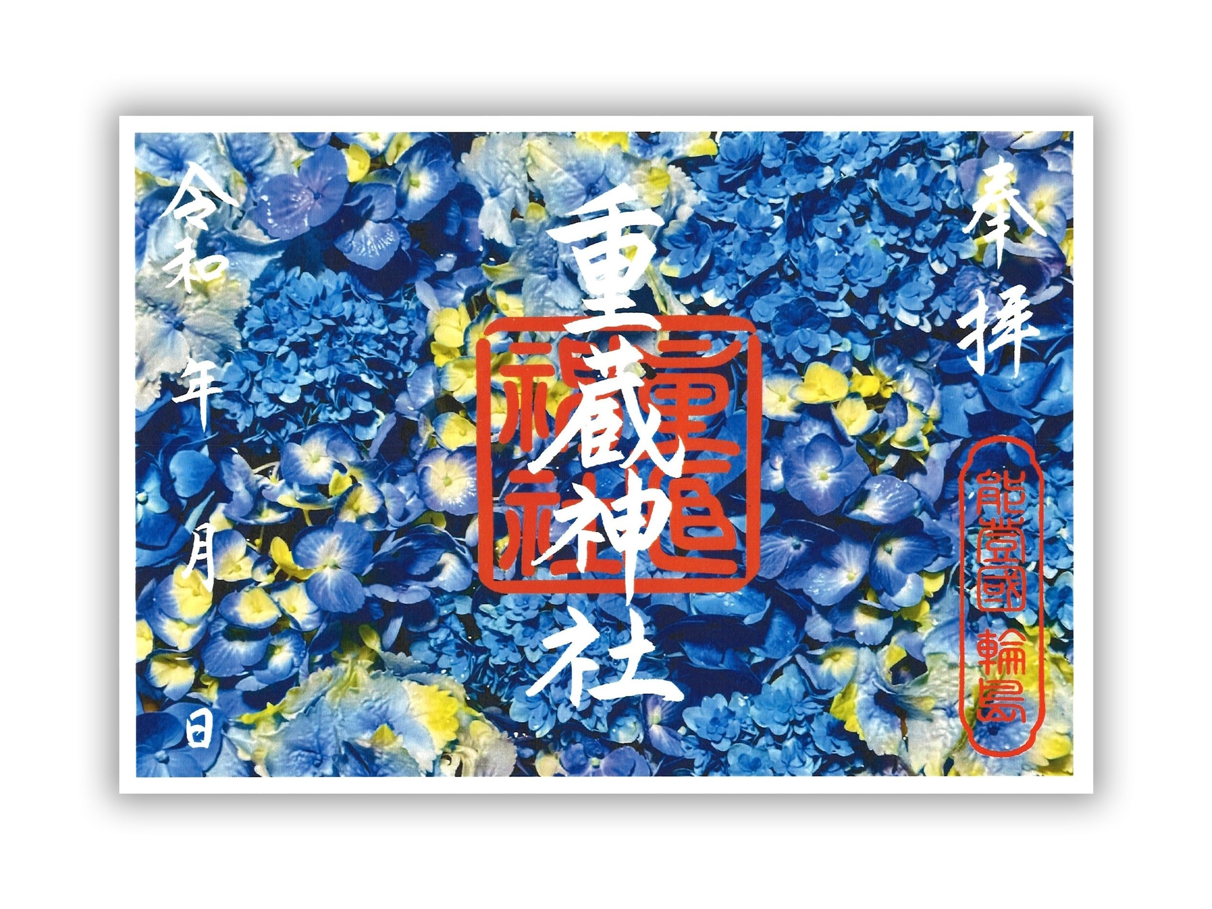 【6月】写真御朱印 〜あじさい〜(書置き/見開き)