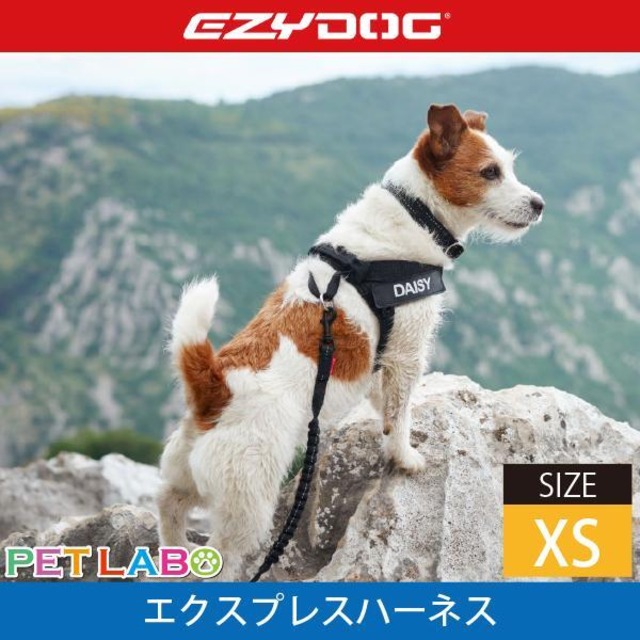 EZYDOG(イージードッグ) エクスプレスハーネス(XSサイズ)　犬用 胴輪 散歩 ハンドル付き 反射機能 EVA製パッド