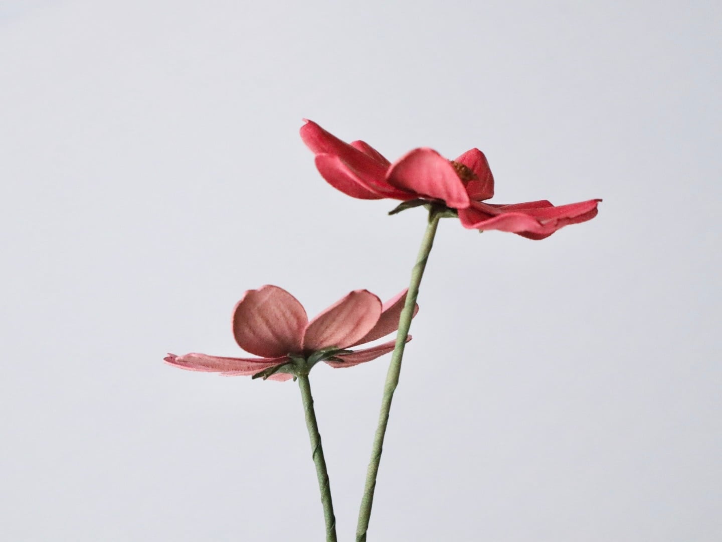 革花型紙】秋桜（コスモス）セット（花弁＋ガク）｜レザーフラワー専用