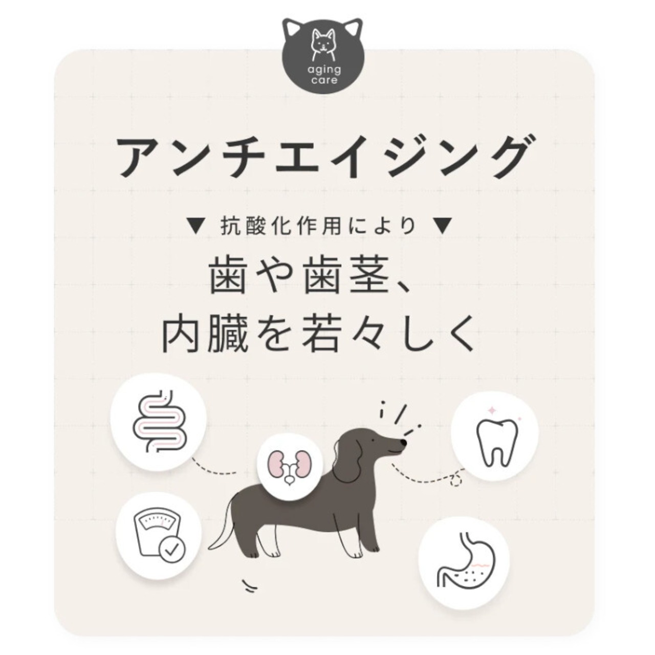 【SILKFULL】シルクフル　＜犬用＞・画像3