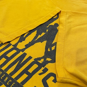 【anvil】NBA インディアナペイサーズ Pacers バスケ Tシャツ XL ビッグサイズ 企業ロゴ バックプリント us古着 アメリカ古着