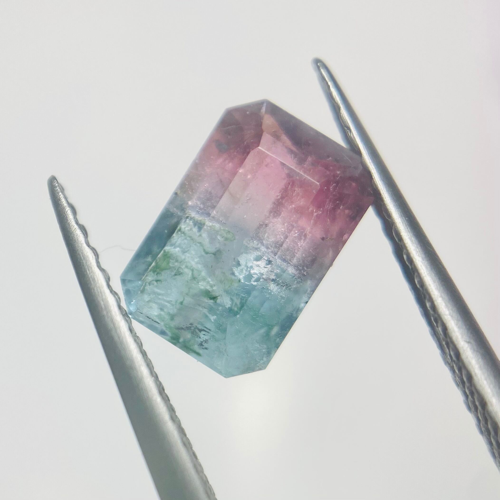 川辺の桜 トルマリン