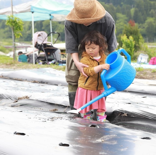 【2024年5月11日開催】いといがわコットンプロジェクト：綿花の畑にタネをまこう！& 早川ピクニック