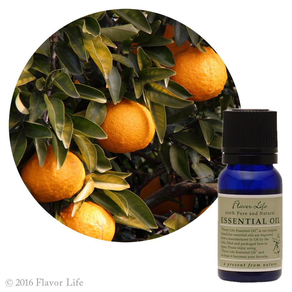 フレーバーライフ エッセンシャルオイル 精油 グレープフルーツ 500ml フレーバーライフ】グレープフルーツ｜エッセンシャルオイル（精油