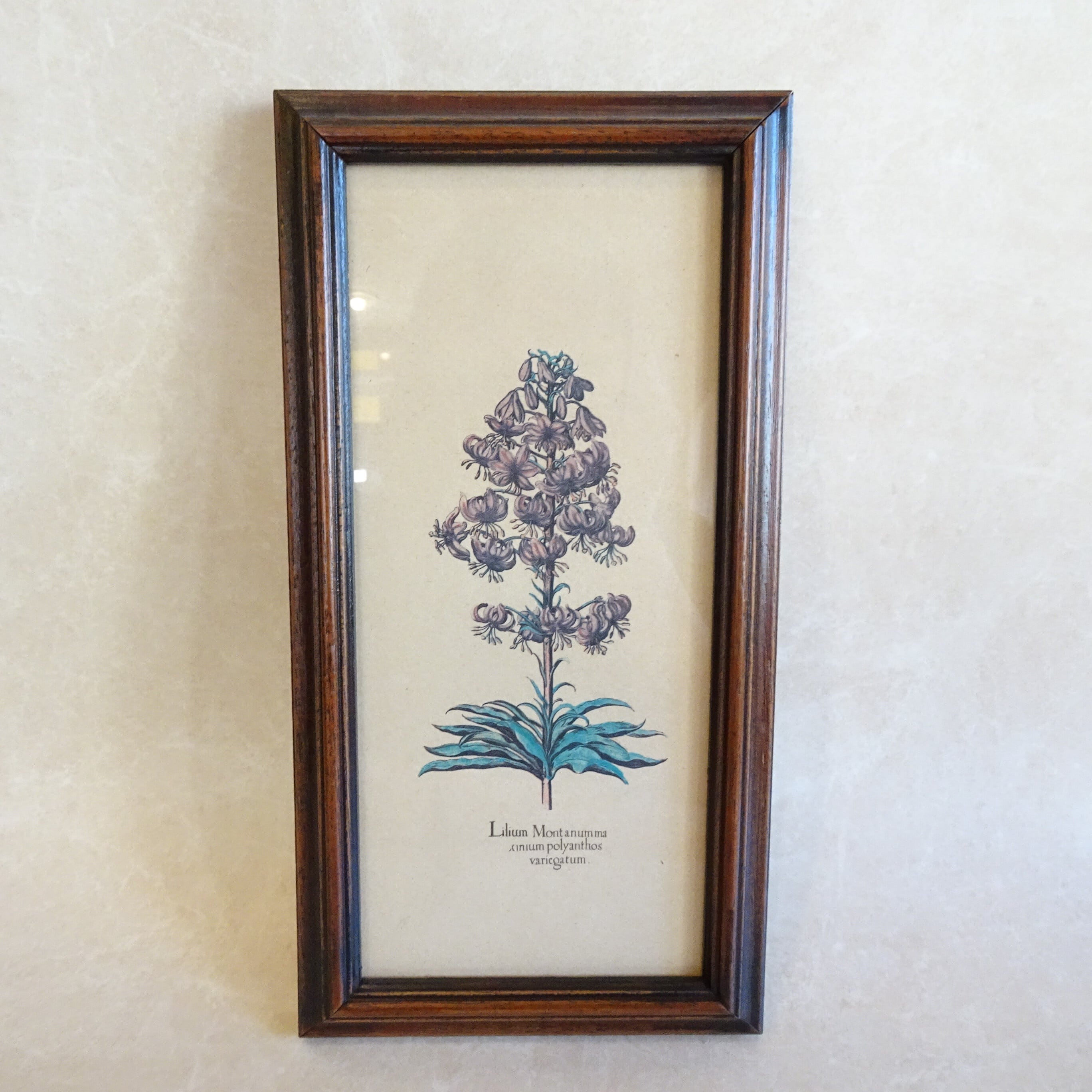 イタリア ボタニカルアート（パープルのユリ） | 純喫茶家具の村田商會